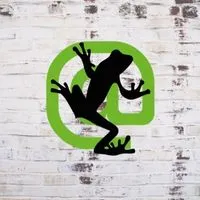 ScreamingFrog SEO Crawler tool that Tyler uses on the regular.